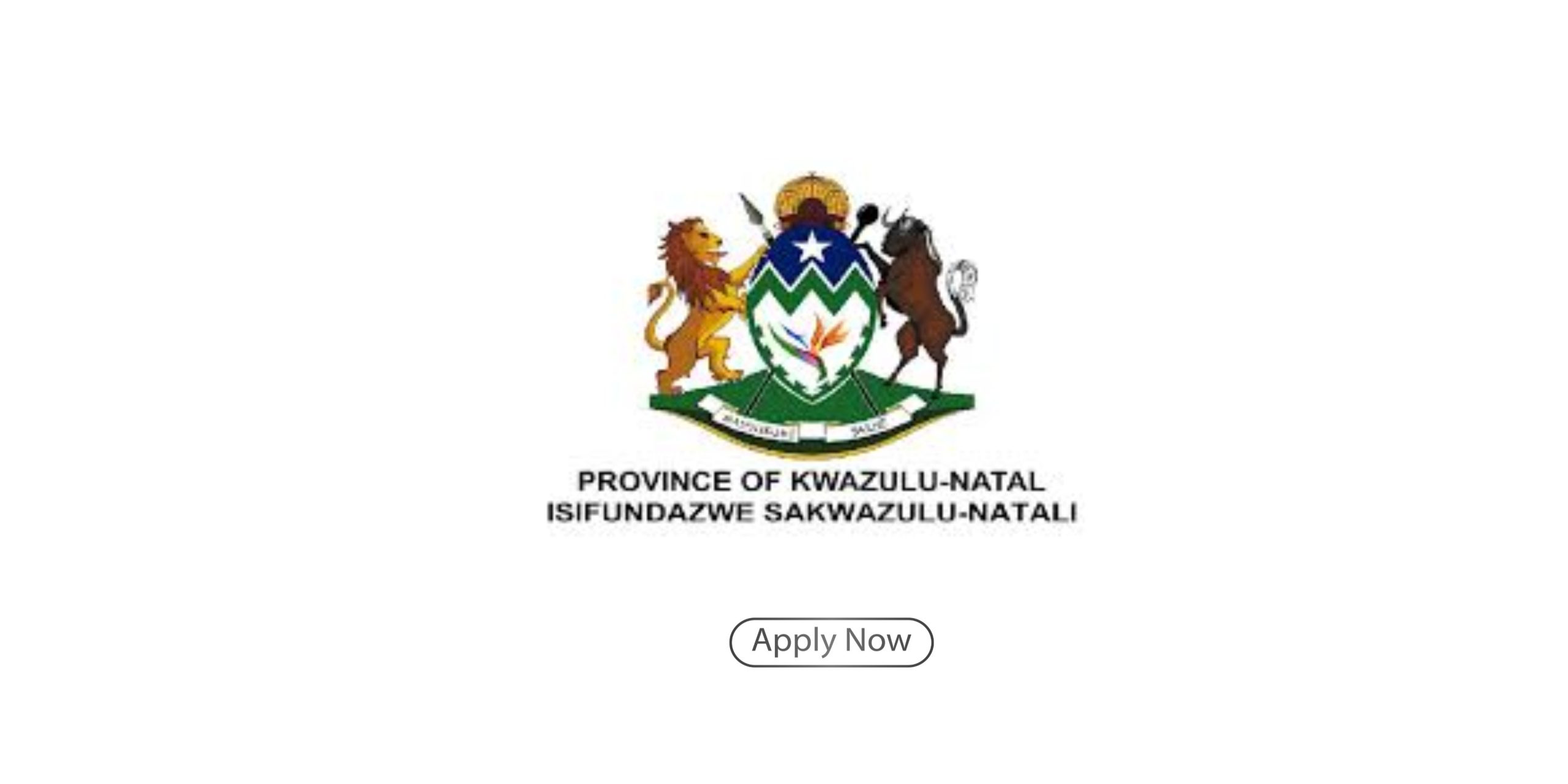 KwaZulu-Natal Government Bursary
