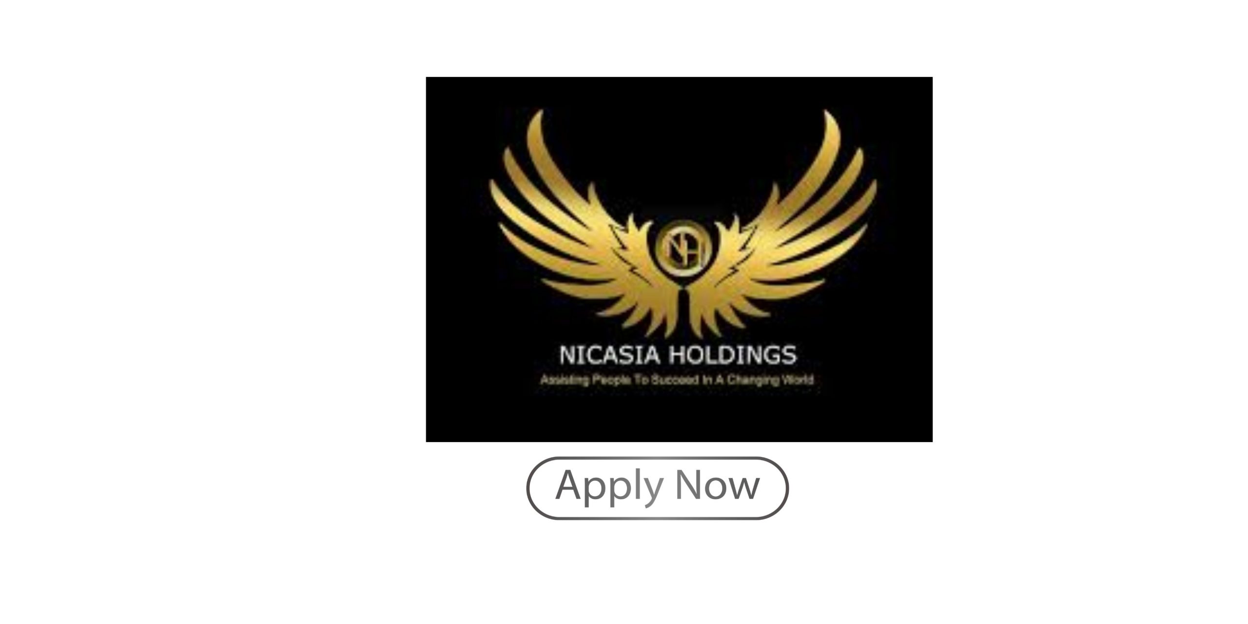 Nicasia Holdings & AON Bursary South Africa