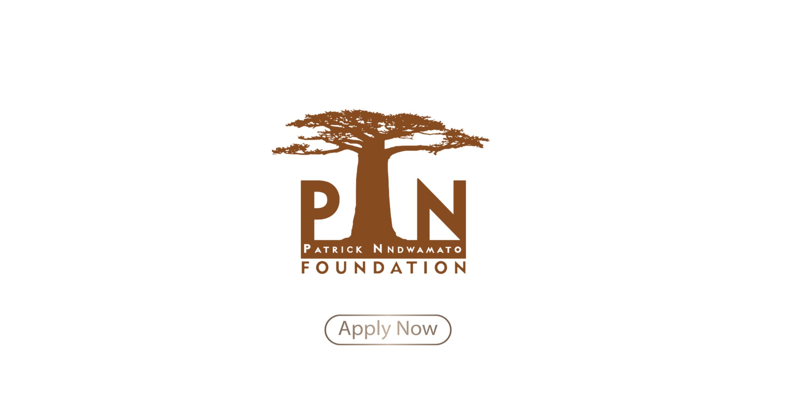 PN Foundation Bursary
