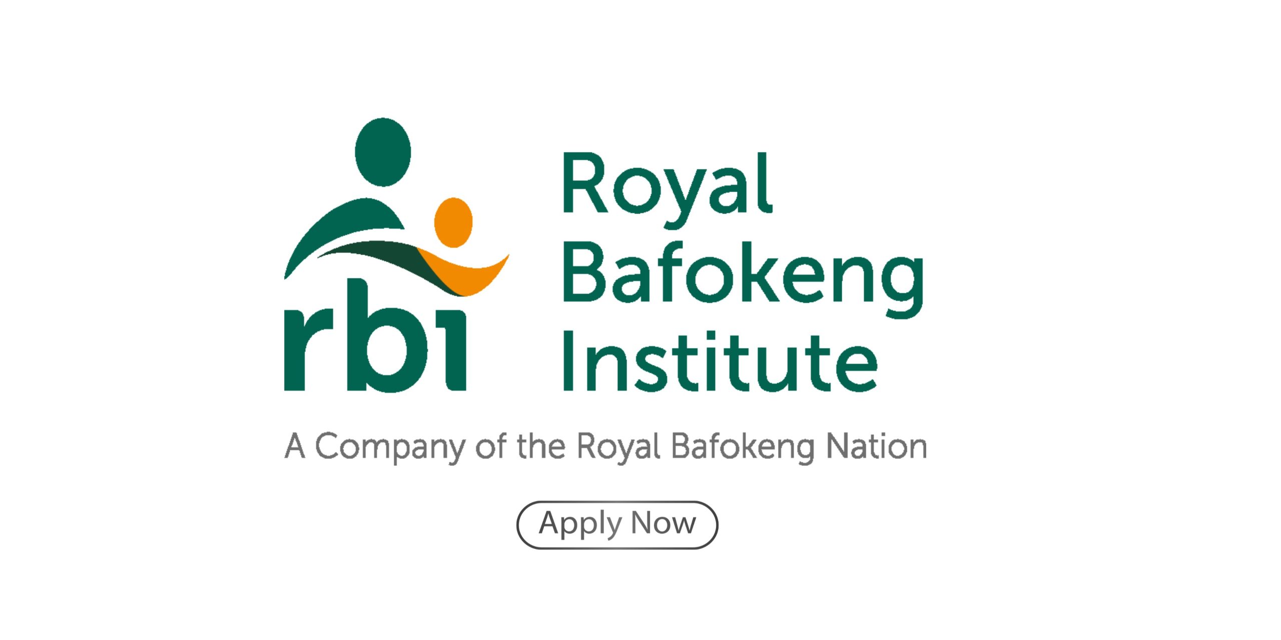 Royal Bafokeng Institute Student Loan