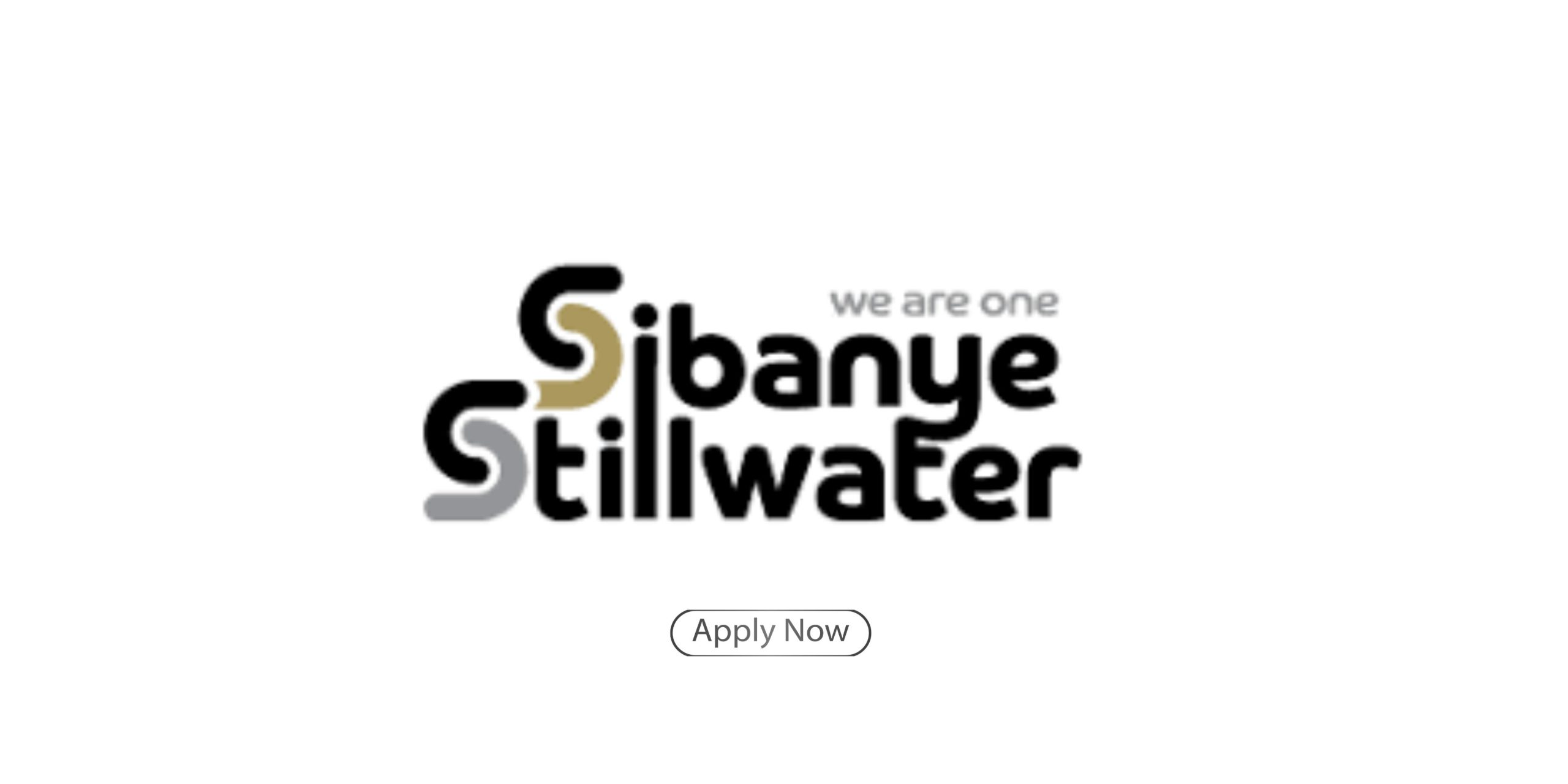 Sibanye Stillwater Bursary