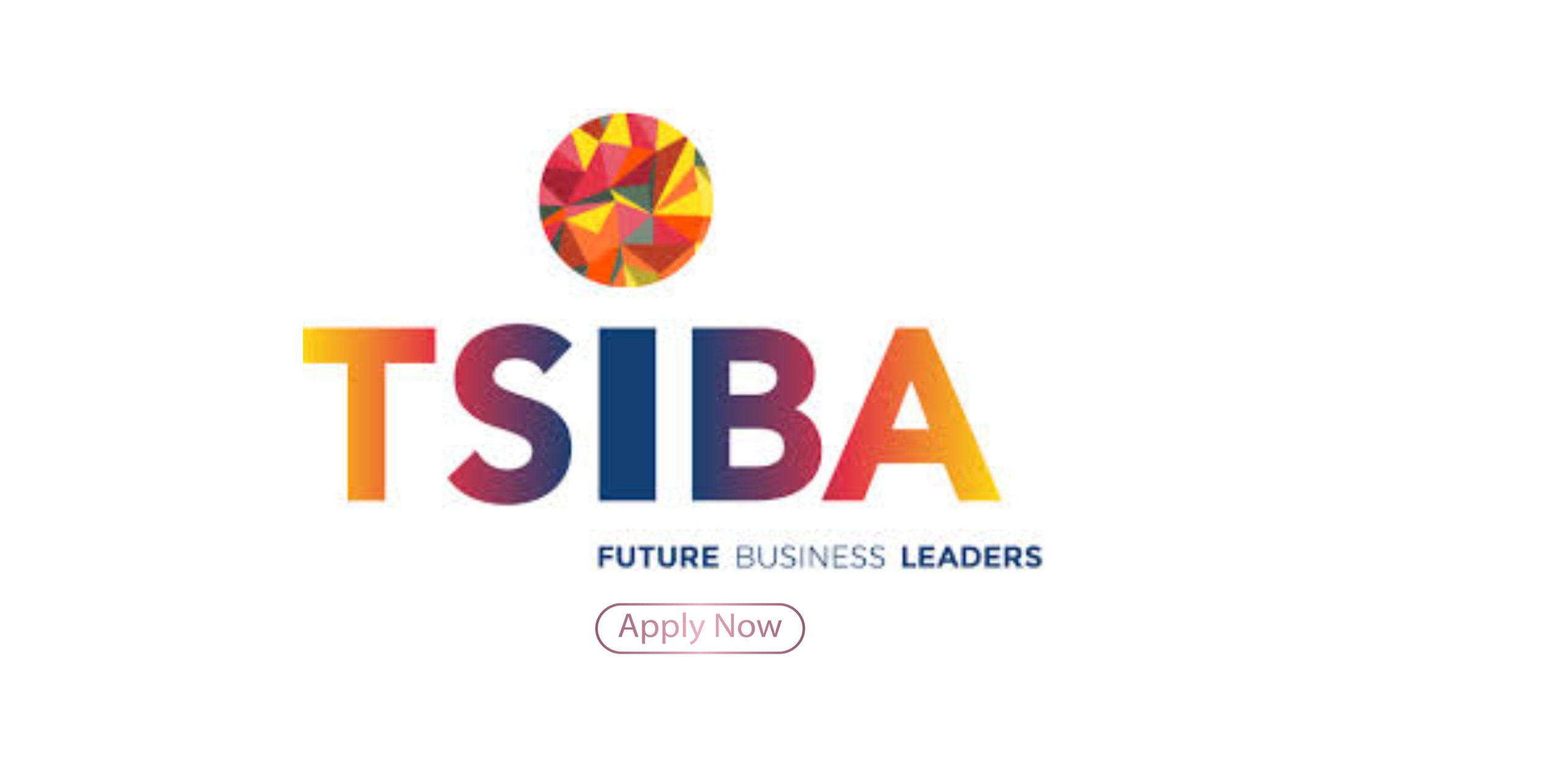 TSIBA Business School Bursary