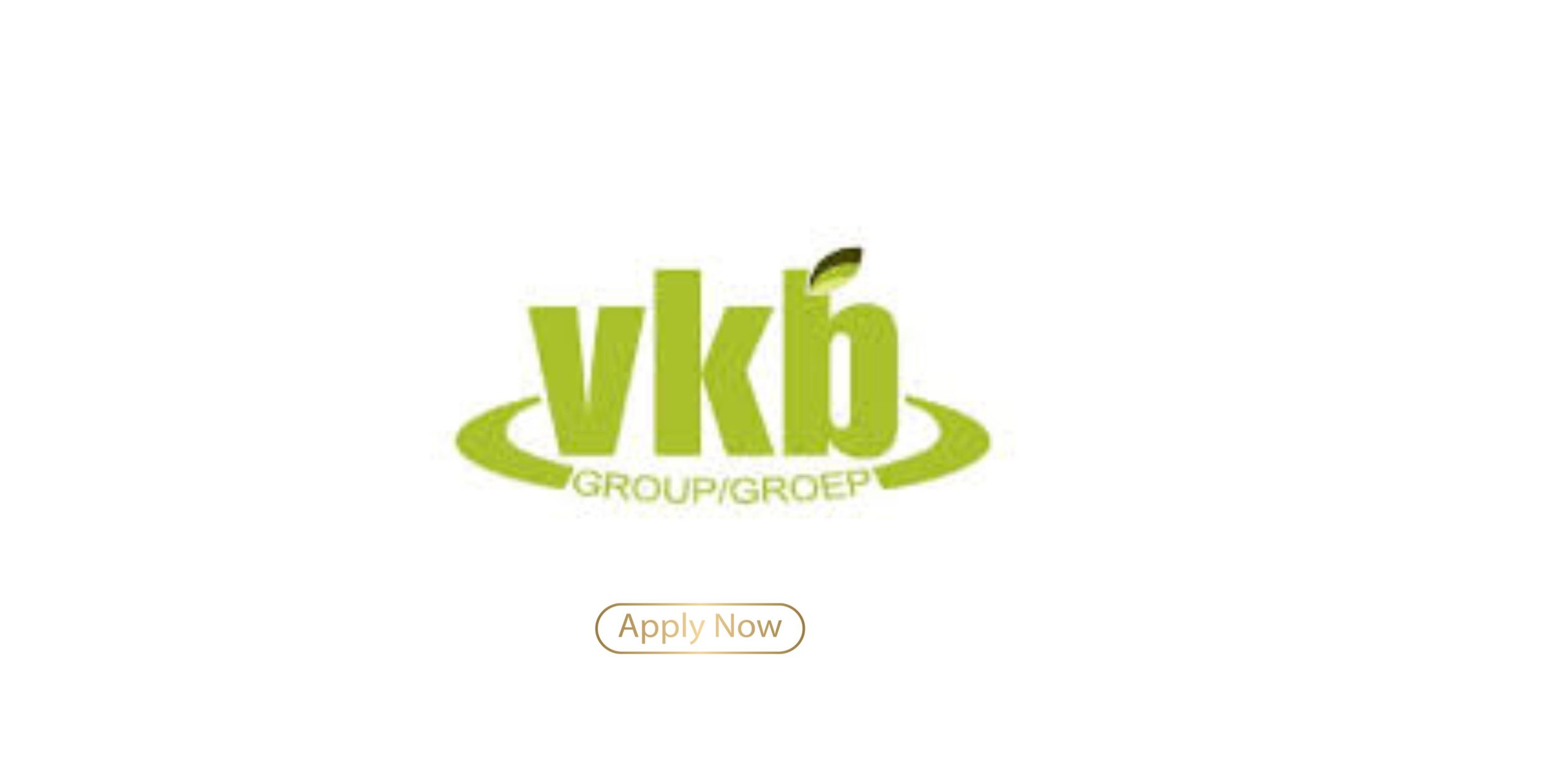 VKB Group Bursary