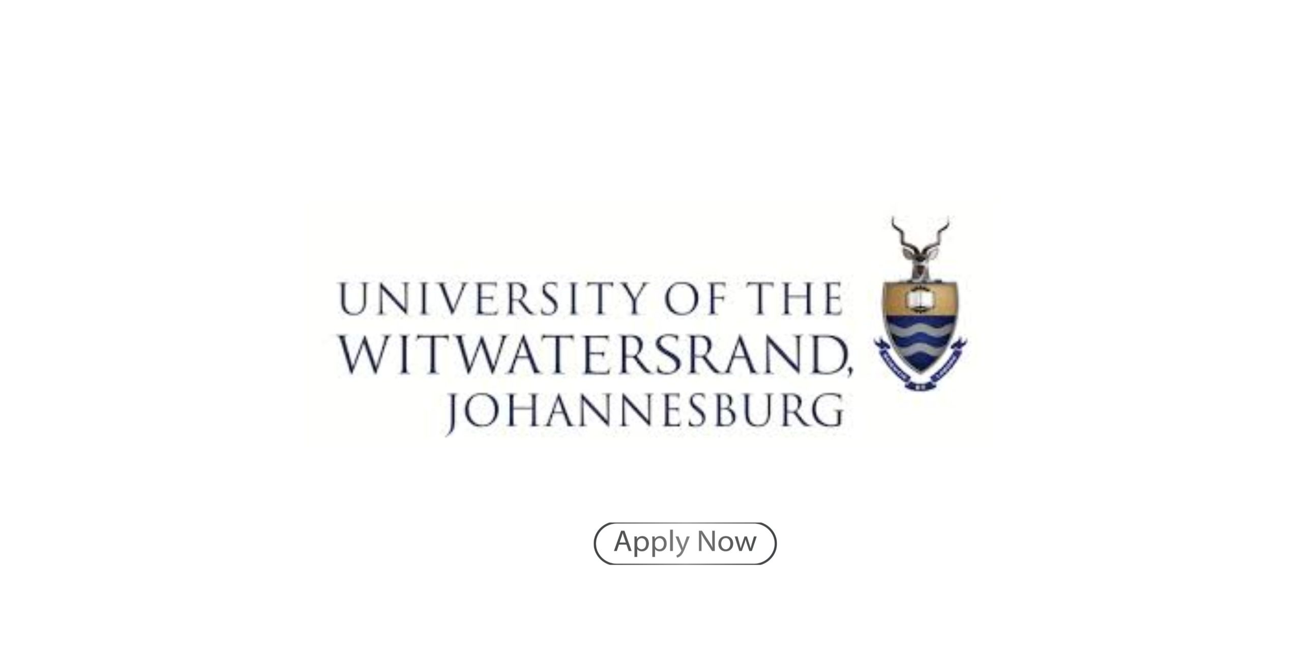 Wits University Bursary