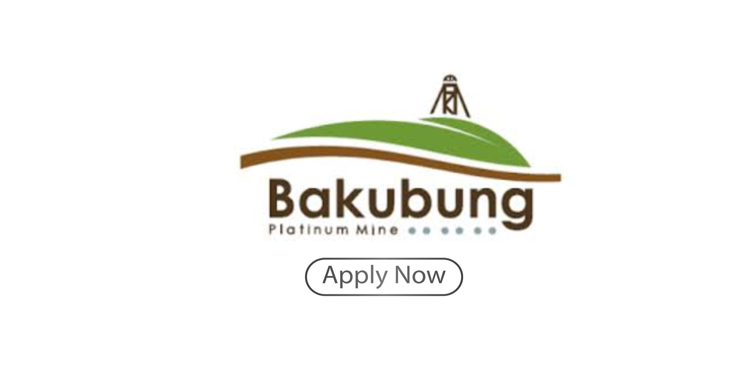 Bakubung Platinum Mine Bursary
