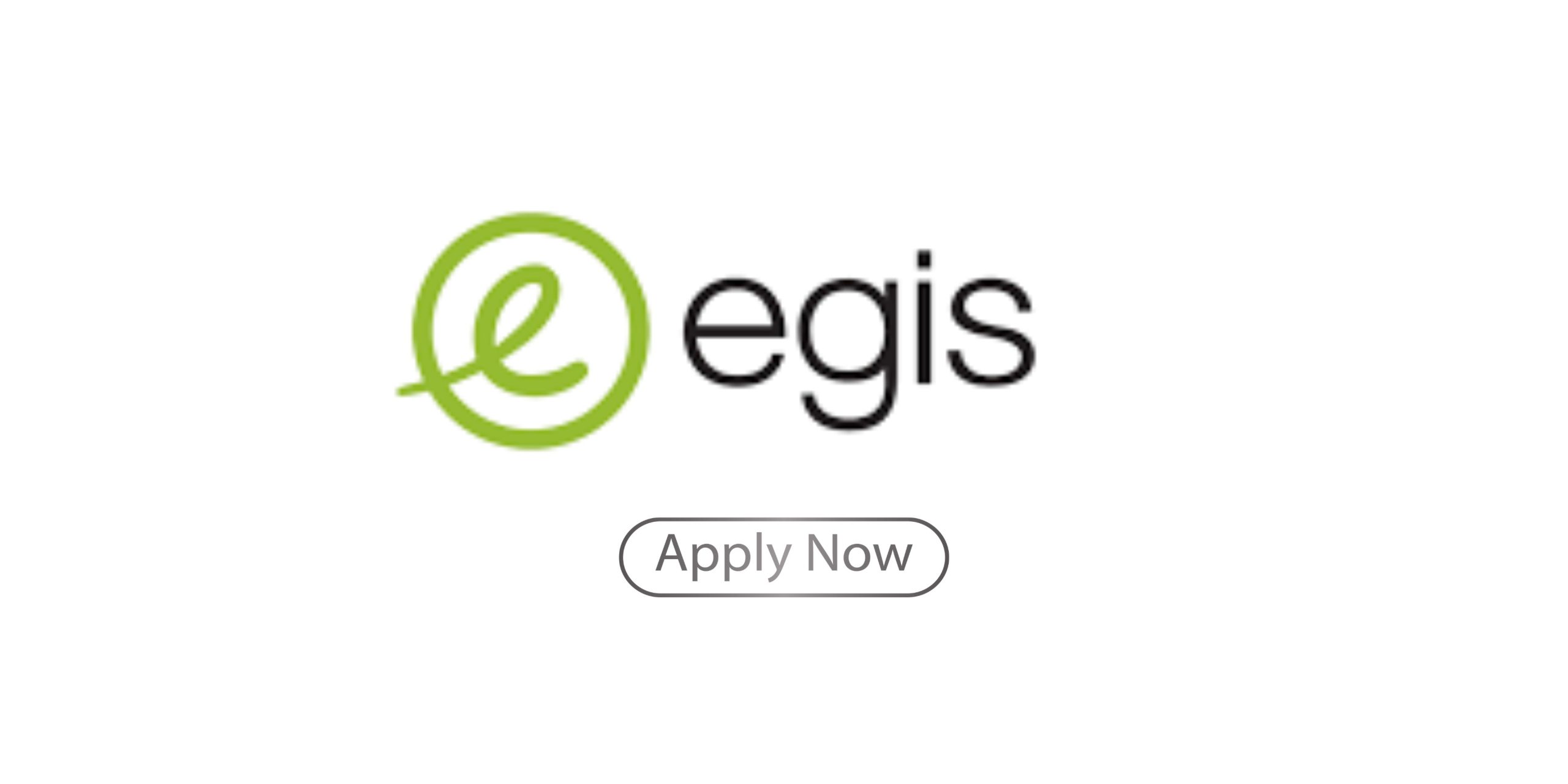 Egis Operation South Africa Bursary
