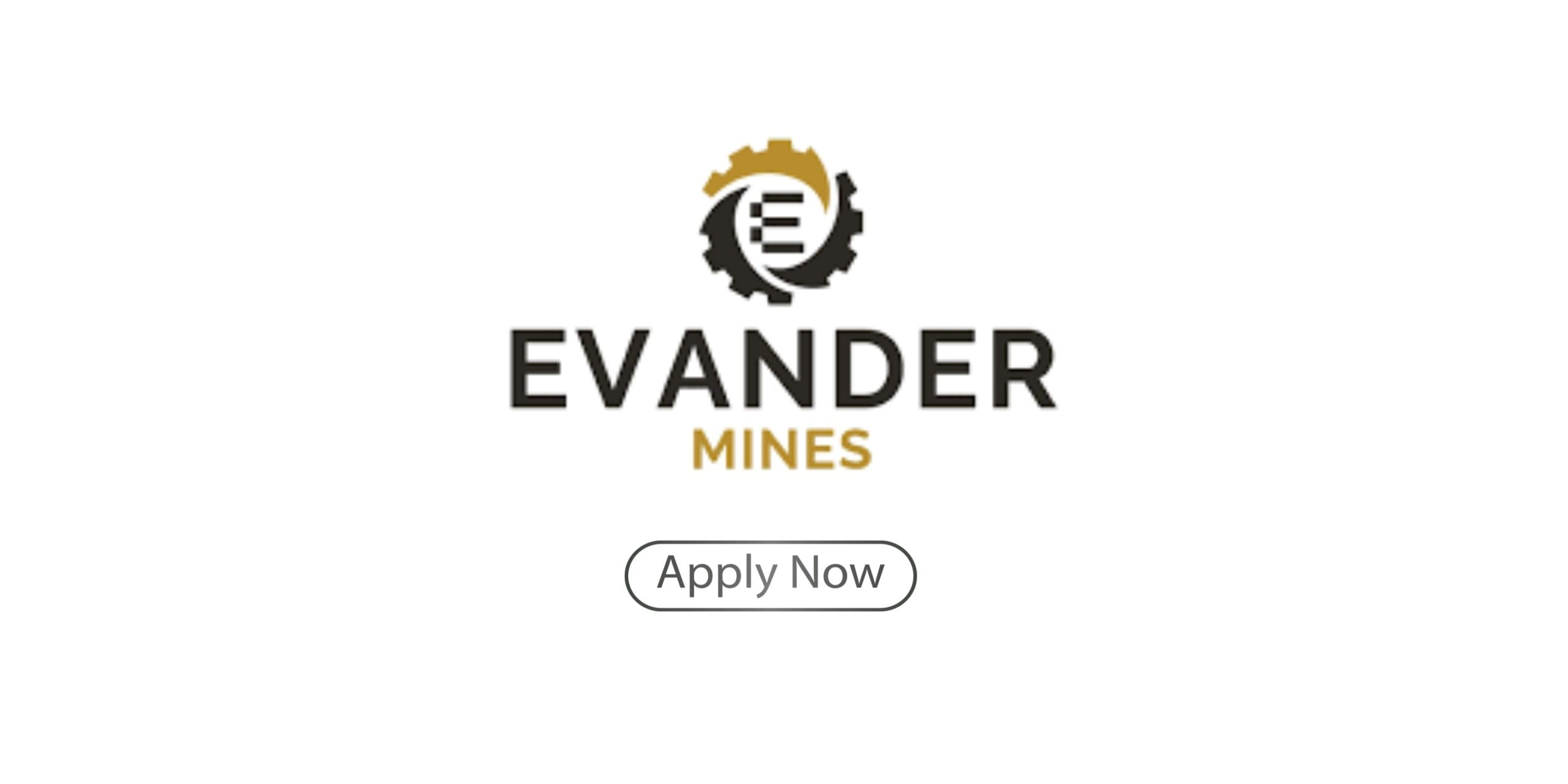 Evander Gold Mining Bursary