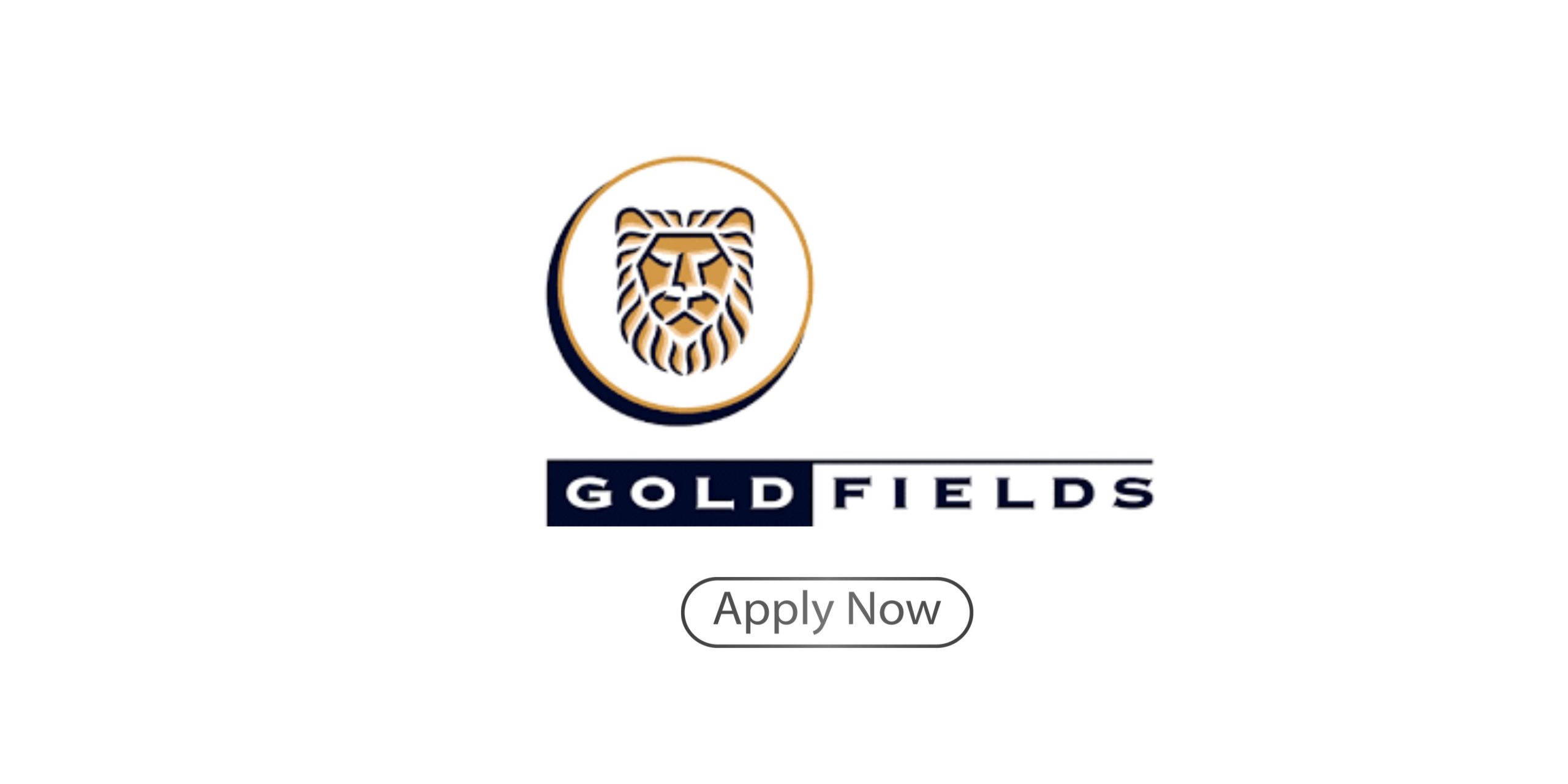 Gold Fields Ltd Bursary