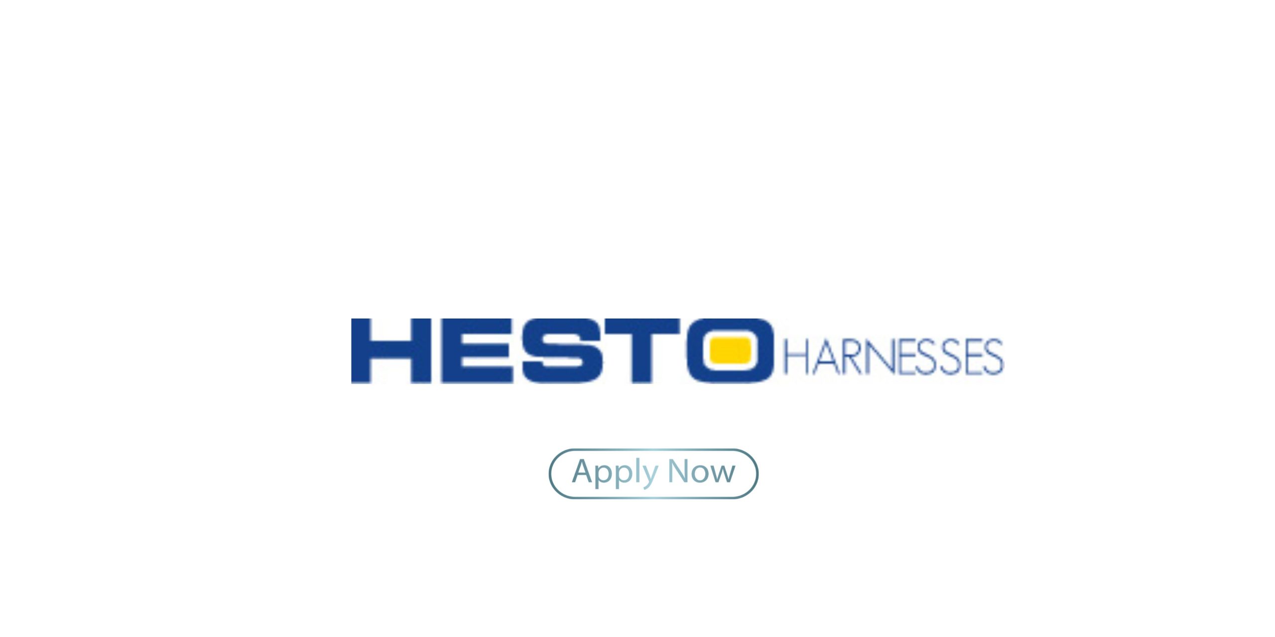 Hesto Harnesses Bursary
