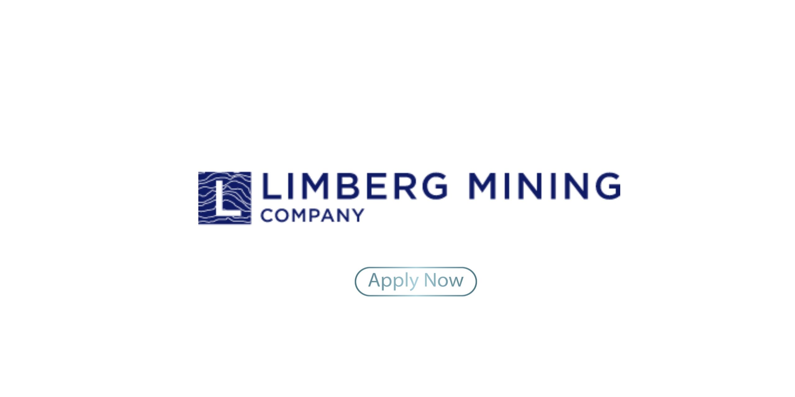 Limberg Mining Company Bursary