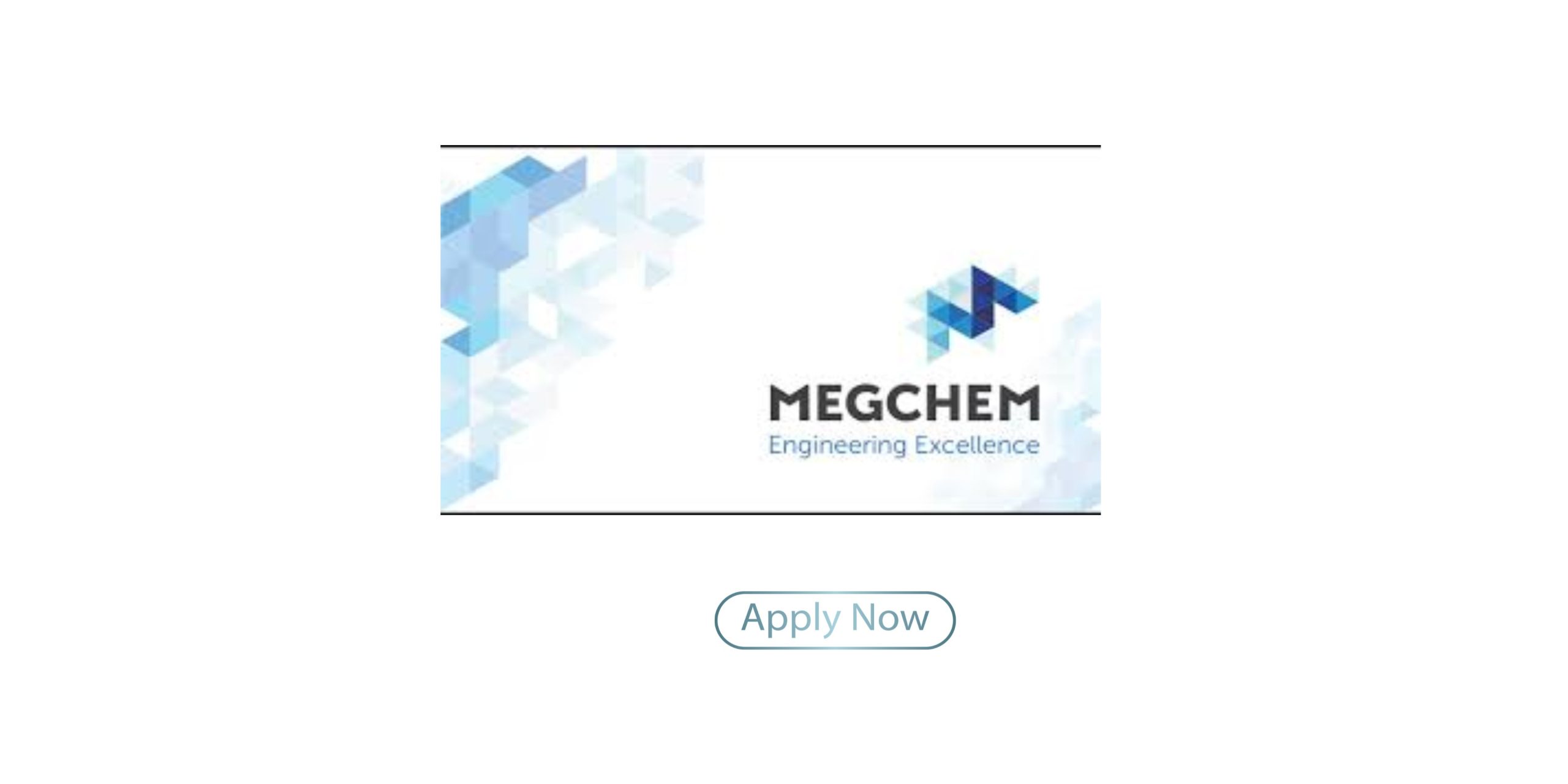 Megchem Bursary